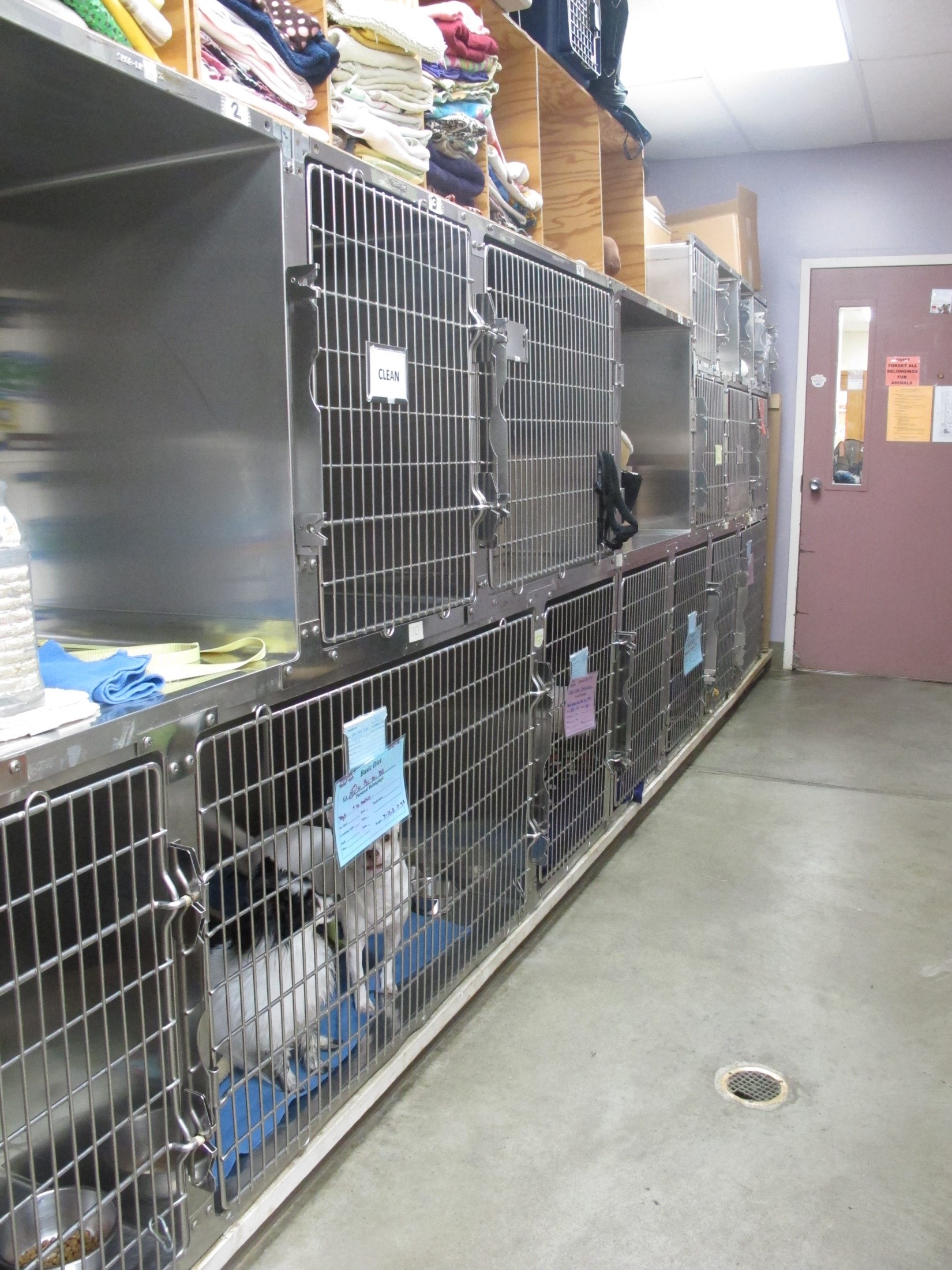 Take a Tour of our Lynden, Washington Veterinary Hospital!